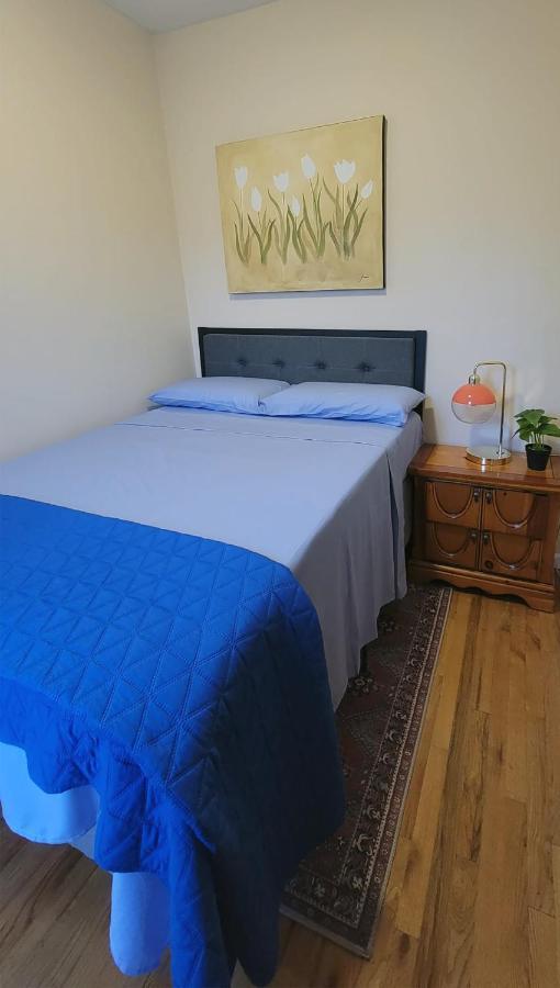 Bright & Cozy East Williamsburg 2 Bedroom New York Bagian luar foto